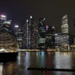 Economist_Danny_Quah_Discusses_Dual_Shocks_from_China_and_U_S__in_Indo_Pacific