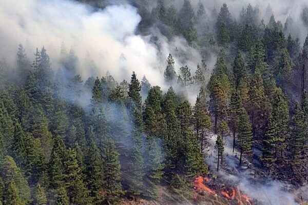 Ecuador_Declares_60_Day_National_Emergency_as_Wildfires_and_Drought_Intensify