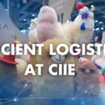 Efficient_Logistics_Bring_Global_Products_to_Shanghai_for_the_Seventh_CIIE video poster