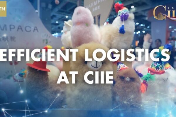 Efficient Logistics Bring Global Products to Shanghai for the Seventh CIIE Efficient_Logistics_Bring_Global_Products_to_Shanghai_for_the_Seventh_CIIE video poster