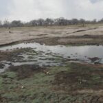 El Nino-Induced Drought in Southern Africa Raises Global Climate Concerns