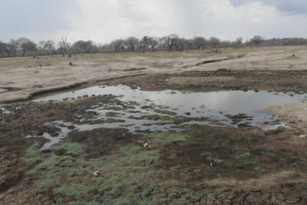 El Nino-Induced Drought in Southern Africa Raises Global Climate Concerns