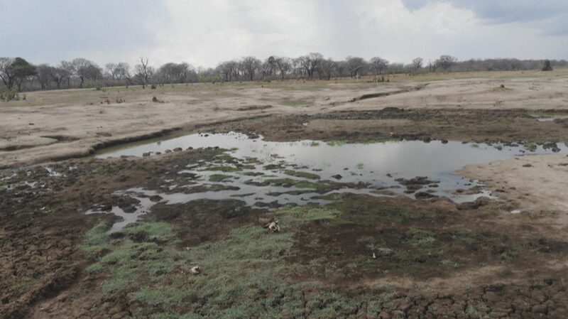 El_Nino-Induced_Drought_in_Southern_Africa_Raises_Global_Climate_Concerns - Khabar Asia El Nino-Induced Drought in Southern Africa Raises Global Climate Concerns