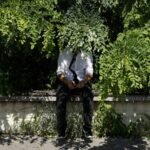 El Nino Weakens but Keeps Global Temperatures High, WMO Reports