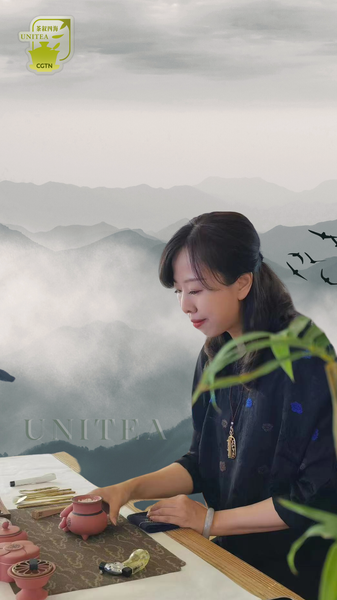 Elevate Your Tea Ritual: Embracing Calming Incense in Traditional Chinese Culture video poster