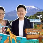 Embark_on_a__Hakuna_Matata__Adventure_in_Tanzania video poster