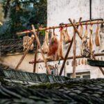 Embracing China's 'Major Snow': A Cultural Dive into Winter's Heart