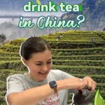 Embracing Chinese Tea Culture: An American Vlogger's Daily Rituals video poster