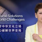 Embracing Cultural Exchanges: Tian Wei Advocates for Global Solutions through Mutual Learning video poster