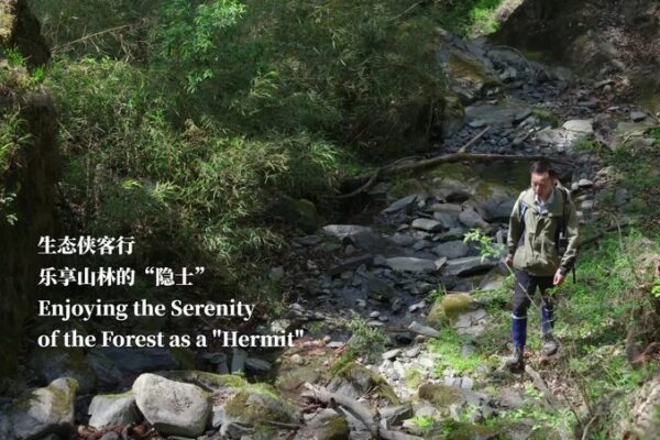 Embracing the Serenity of the Forest: Xiao Fei’s Life as a ‘Hermit’ Embracing_the_Serenity_of_the_Forest__Xiao_Fei_s_Life_as_a__Hermit_ video poster