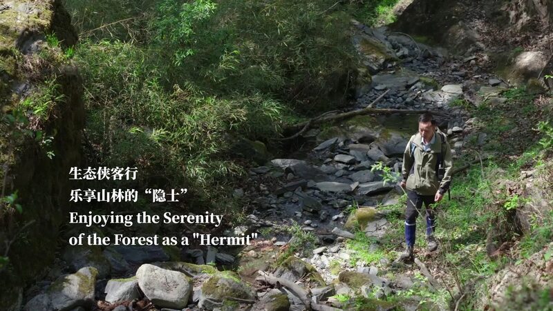 Embracing_the_Serenity_of_the_Forest__Xiao_Fei_s_Life_as_a__Hermit_ video poster