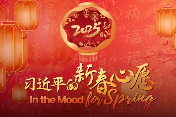 Embracing_the_Vibrant_Spirit_of_China_s_Spring_Festival video poster