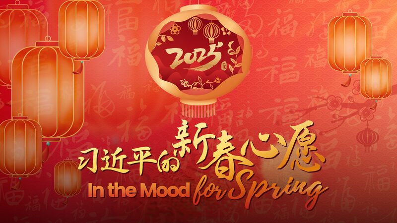 Embracing_the_Vibrant_Spirit_of_China_s_Spring_Festival video poster