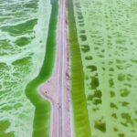Emerald Oasis: Qinghai’s Jade Lake Brings Life to the Qaidam Desert