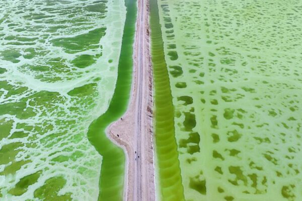 Emerald Oasis: Qinghai’s Jade Lake Brings Life to the Qaidam Desert Emerald Oasis: Qinghai’s Jade Lake Brings Life to the Qaidam Desert