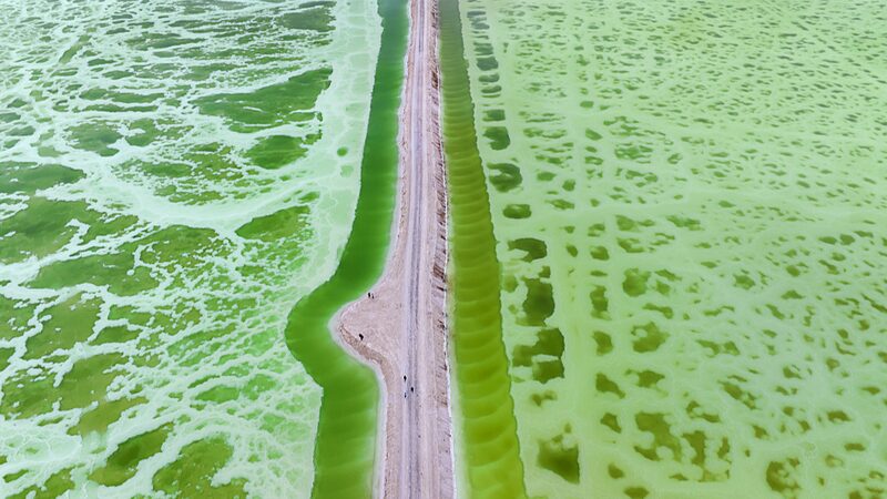 Emerald_Oasis_Qinghais_Jade_Lake_Brings_Life_to_the_Qaidam_Desert - Khabar Asia Emerald Oasis: Qinghai’s Jade Lake Brings Life to the Qaidam Desert