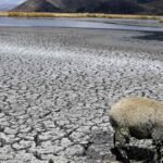 Empowering Multilateral Development Banks for the Climate Challenge