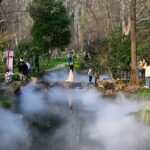 Enchanting Mist Shrouds Nanjing's Zhongshan Botanical Garden in Fairy Tale Splendor