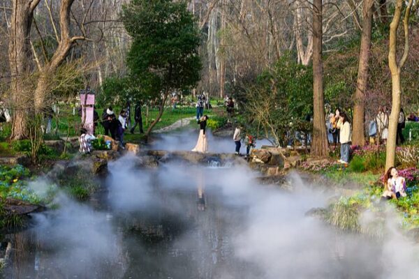 Enchanting Mist Shrouds Nanjing’s Zhongshan Botanical Garden in Fairy Tale Splendor Enchanting Mist Shrouds Nanjing's Zhongshan Botanical Garden in Fairy Tale Splendor