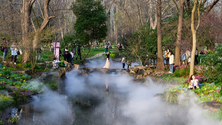 Enchanting_Mist_Shrouds_Nanjings_Zhongshan_Botanical_Garden_in_Fairy_Tale_Splendor - Khabar Asia Enchanting Mist Shrouds Nanjing's Zhongshan Botanical Garden in Fairy Tale Splendor