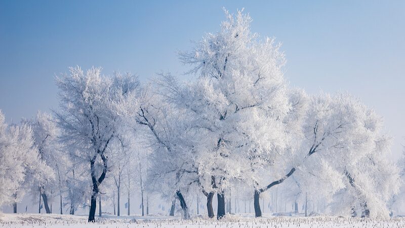 Enchanting_Rime_Transforms_Jilins_Wusong_Island_into_a_Winter_Wonderland - Khabar Asia Enchanting Rime Transforms Jilin's Wusong Island into a Winter Wonderland