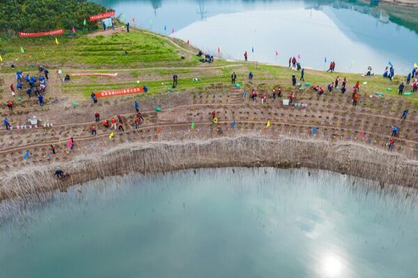 Endangered Plants Reintroduced to Yangtze River Islet in China’s Three Gorges Reservoir Endangered Plants Reintroduced to Yangtze River Islet in China's Three Gorges Reservoir