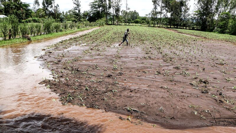 Erratic_Weather_Patterns_in_Kenya_Disrupt_Traditional_Agriculture - Khabar Asia Erratic Weather Patterns in Kenya Disrupt Traditional Agriculture