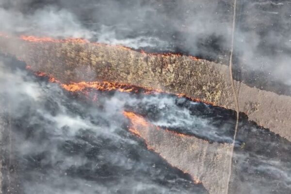 Escalating Wildfires in the U.S.: A Climate Crisis Unfolds video poster