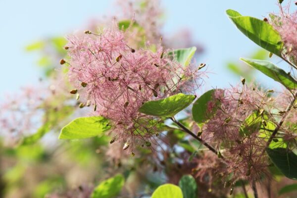 Escape to Beijing’s Western Hills: A Breath of Fresh Air Awaits Escape to Beijing's Western Hills: A Breath of Fresh Air Awaits