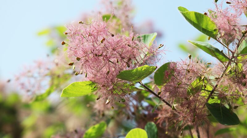 Escape to Beijing's Western Hills: A Breath of Fresh Air Awaits