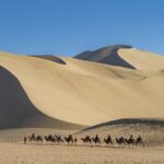 Experience Camel Riding on Mingsha Mountain Amidst Silk Road Expo in Dunhuang video poster