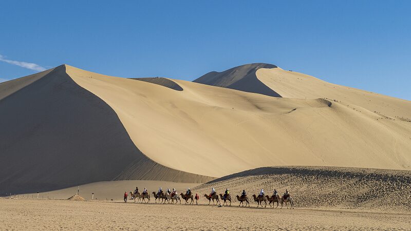 Experience Camel Riding on Mingsha Mountain Amidst Silk Road Expo in Dunhuang video poster