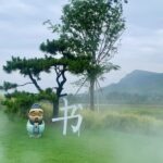 Experience_Immersive_Culture_in_Confucius__Hometown__Luyuan_Town_Opens_in_Shandong