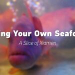 Experience_Xiamen_s_Unique_Seafood_Tradition__Bring_Your_Own_Fish_to_Local_Restaurants video poster