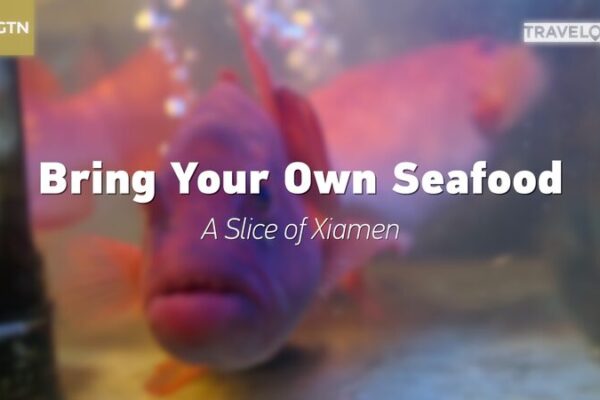 Experience Xiamen’s Unique Seafood Tradition: Bring Your Own Fish to Local Restaurants Experience_Xiamen_s_Unique_Seafood_Tradition__Bring_Your_Own_Fish_to_Local_Restaurants video poster