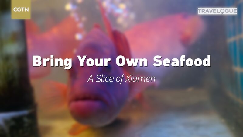 Experience_Xiamen_s_Unique_Seafood_Tradition__Bring_Your_Own_Fish_to_Local_Restaurants_poster - Khabar Asia Experience_Xiamen_s_Unique_Seafood_Tradition__Bring_Your_Own_Fish_to_Local_Restaurants video poster