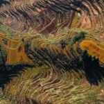 Experience_Zhejiang_s_Harvest_at_Yunhe_Terraces_and_Yiwu_s_Sugarcane_Fields