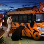 Experience_the_Magic__Shanghai_Wild_Animal_Park_Launches_China_s_First_Nighttime_Safari video poster