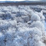 Explore_China_s_Northernmost_Point__The_Snowy_Wusuli_Shoal_in_Mohe_City video poster