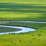 Explore the Majestic Hulun Buir Grassland: Inner Mongolia's Natural Paradise