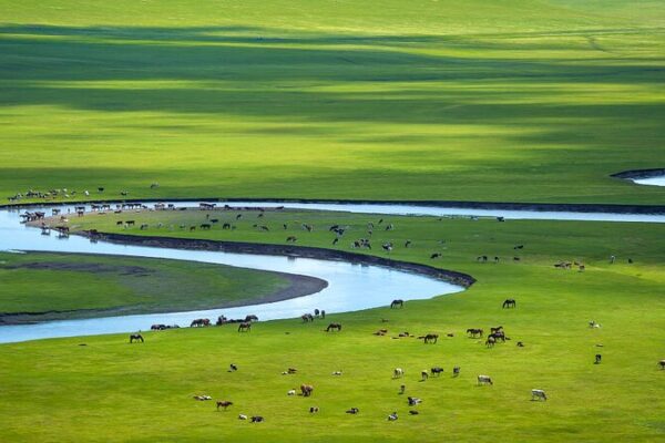 Explore the Majestic Hulun Buir Grassland: Inner Mongolia's Natural Paradise