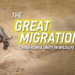 Exploring_Africa_Beyond_the_Great_Migration__A_Journey_Through_Its_Diverse_Wonders video poster