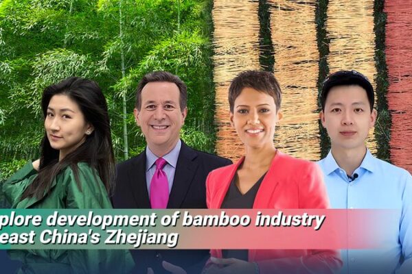 Exploring Anji’s Bamboo Industry: The Green Heart of China’s Sustainability Exploring_Anji_s_Bamboo_Industry__The_Green_Heart_of_China_s_Sustainability video poster