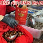 Exploring_Beijing_s_Autumn_Markets__A_World_Food_Day_Journey video poster