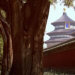 Exploring Beijing's Hidden Natural Gems: Insects and Plants Inspire a New Generation video poster