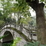 Exploring_Chengdu_s_People_s_Park__A_Day_in_the_Heart_of_Local_Life