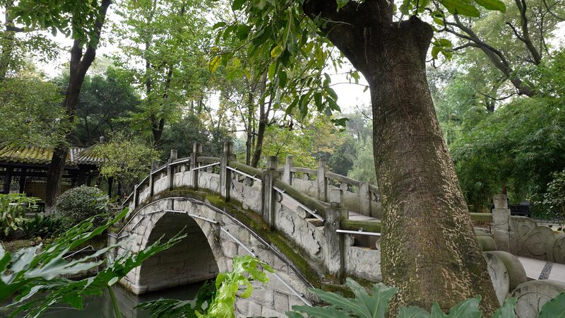 Exploring_Chengdu_s_People_s_Park__A_Day_in_the_Heart_of_Local_Life - Khabar Asia Exploring_Chengdu_s_People_s_Park__A_Day_in_the_Heart_of_Local_Life