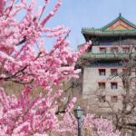 Exploring China's Enchanting Spring Destinations