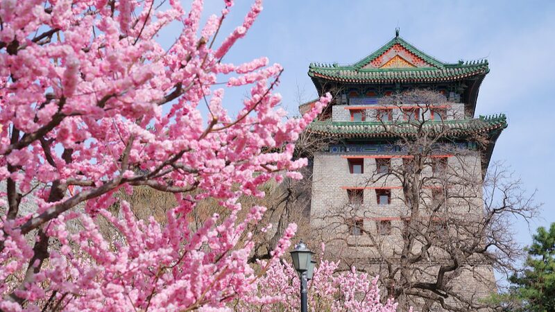 Exploring_Chinas_Enchanting_Spring_Destinations - Khabar Asia Exploring China's Enchanting Spring Destinations