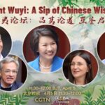 Exploring Chinese Wisdom: Global Thinkers Discuss East-West Philosophies at Mount Wuyi video poster